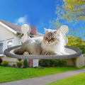 Wall-Mounted Cat Hammock